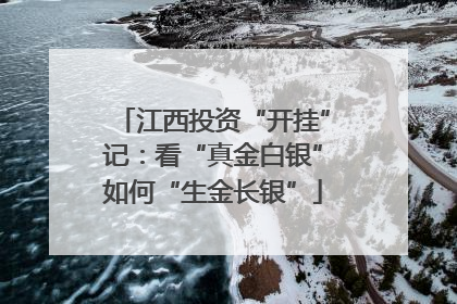 江西投资“开挂”记：看“真金白银”如何“生金长银”