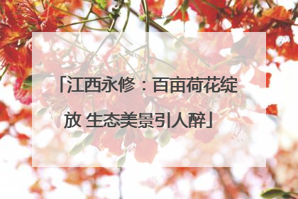 江西永修：百亩荷花绽放 生态美景引人醉