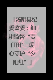 汤阴县纪委监委:细耕监督“责任田” 暖心守护“夕阳红”