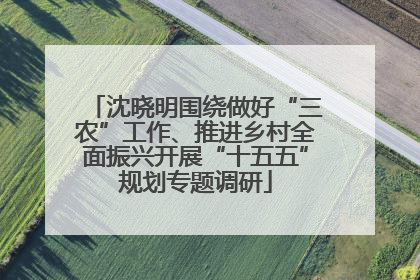 沈晓明围绕做好“三农”工作、推进乡村全面振兴开展“十五五”规划专题调研