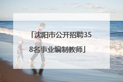 沈阳市公开招聘358名事业编制教师