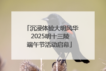 沉浸体验大明风华 2025明十三陵端午节活动启幕
