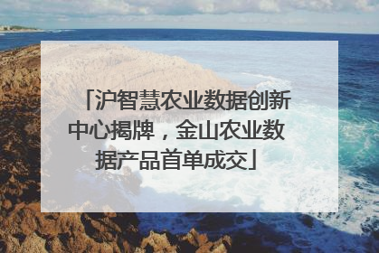 沪智慧农业数据创新中心揭牌，金山农业数据产品首单成交