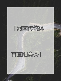 河南传统体育宜阳竞秀
