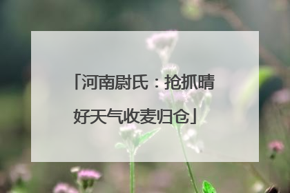 河南尉氏：抢抓晴好天气收麦归仓