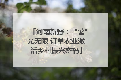 河南新野：“薯”光无限 订单农业激活乡村振兴密码