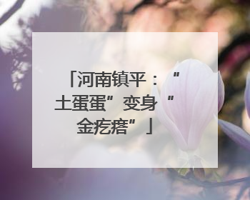 河南镇平：“土蛋蛋”变身“金疙瘩”