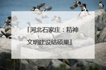 河北石家庄：精神文明建设结硕果