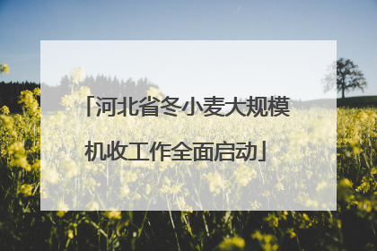 河北省冬小麦大规模机收工作全面启动
