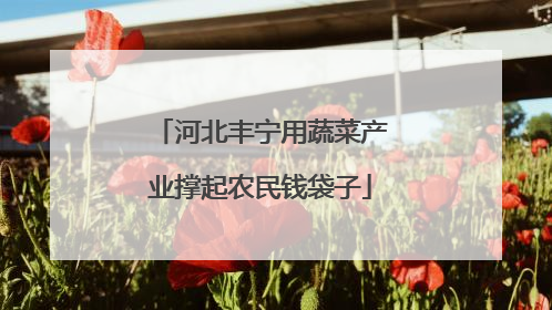 河北丰宁用蔬菜产业撑起农民钱袋子