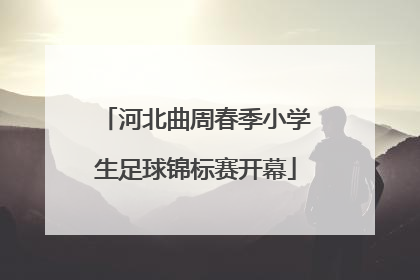 河北曲周春季小学生足球锦标赛开幕
