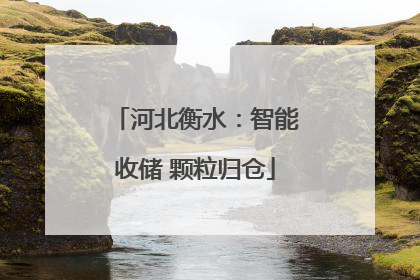 河北衡水：智能收储 颗粒归仓