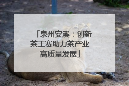 泉州安溪：创新茶王赛助力茶产业高质量发展