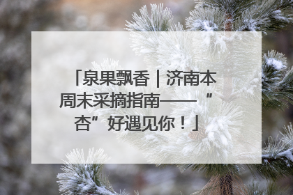 泉果飘香｜济南本周末采摘指南——“杏”好遇见你！