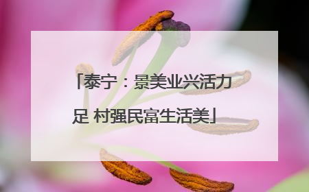 泰宁：景美业兴活力足 村强民富生活美