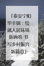 泰安宁阳华丰镇：绘就人居环境新画卷 书写乡村振兴新篇章