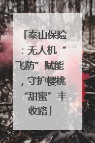 泰山保险：无人机“飞防”赋能，守护樱桃“甜蜜”丰收路