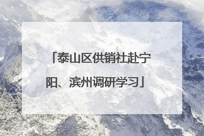 泰山区供销社赴宁阳、滨州调研学习