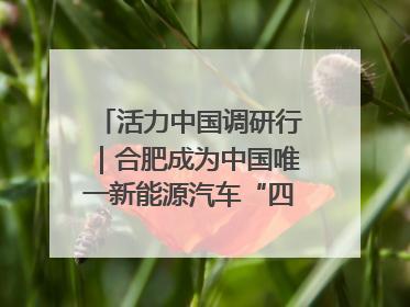 活力中国调研行｜合肥成为中国唯一新能源汽车“四试点”城市