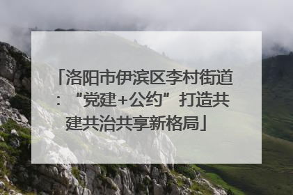 洛阳市伊滨区李村街道：“党建+公约”打造共建共治共享新格局