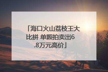 海口火山荔枝王大比拼 单颗拍卖出6.8万元高价