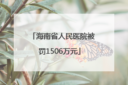海南省人民医院被罚1506万元
