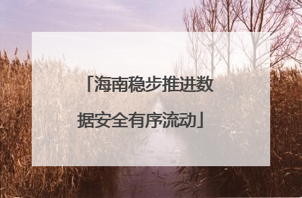 海南稳步推进数据安全有序流动