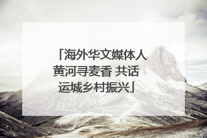 海外华文媒体人黄河寻麦香 共话运城乡村振兴