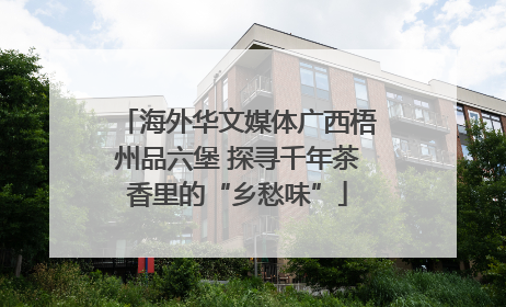 海外华文媒体广西梧州品六堡 探寻千年茶香里的“乡愁味”