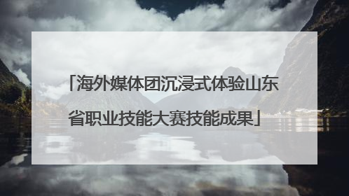 海外媒体团沉浸式体验山东省职业技能大赛技能成果