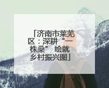 济南市莱芜区：深耕“一株桑” 绘就乡村振兴图