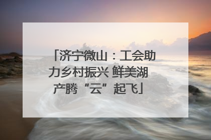 济宁微山：工会助力乡村振兴 鲜美湖产腾“云”起飞