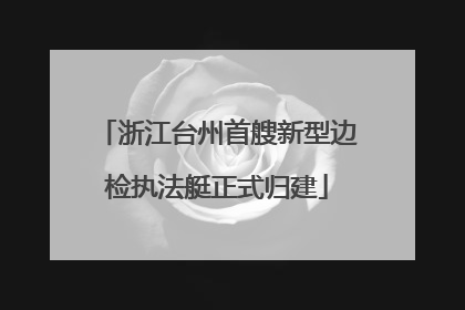 浙江台州首艘新型边检执法艇正式归建