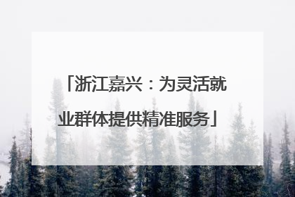 浙江嘉兴：为灵活就业群体提供精准服务