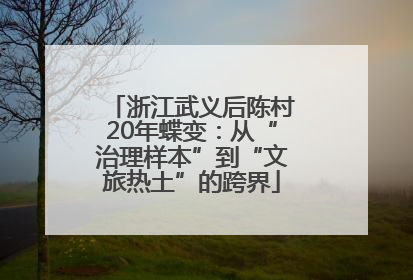 浙江武义后陈村20年蝶变：从“治理样本”到“文旅热土”的跨界