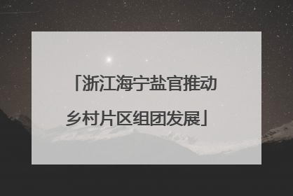 浙江海宁盐官推动乡村片区组团发展