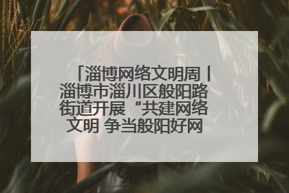 淄博网络文明周丨淄博市淄川区般阳路街道开展“共建网络文明 争当般阳好网民”主题宣讲活动