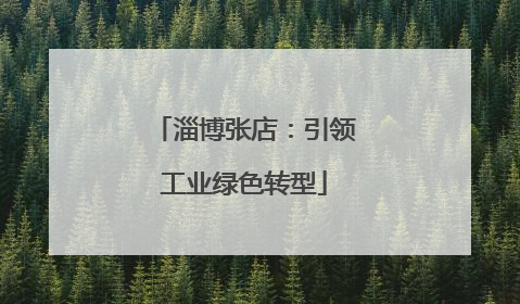 淄博张店：引领工业绿色转型