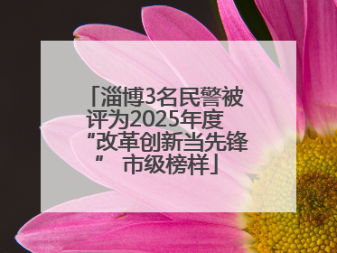 淄博3名民警被评为2025年度“改革创新当先锋” 市级榜样