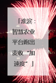 淮滨：智慧农业平台跑出麦收“加速度”