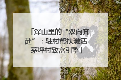 深山里的“双向奔赴”：驻村帮扶激活茅坪村致富引擎
