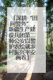 深耕“田间警务”，新疆生产建设兵团第二师公安以警护农绘就乡村振兴平安画卷