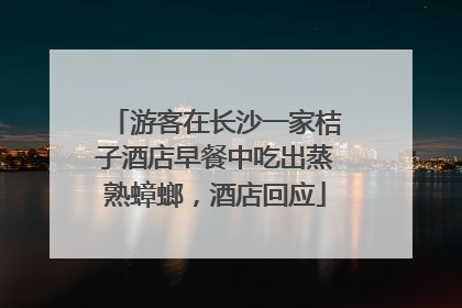 游客在长沙一家桔子酒店早餐中吃出蒸熟蟑螂，酒店回应