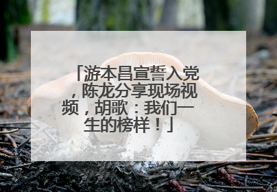 游本昌宣誓入党，陈龙分享现场视频，胡歌：我们一生的榜样！
