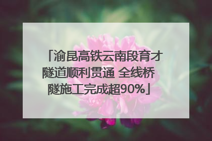 渝昆高铁云南段育才隧道顺利贯通 全线桥隧施工完成超90%