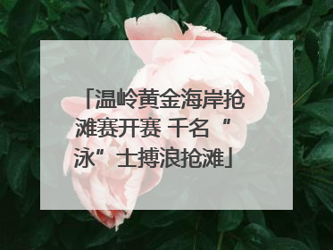 温岭黄金海岸抢滩赛开赛 千名“泳”士搏浪抢滩