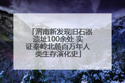 渭南新发现旧石器遗址100余处 实证秦岭北麓百万年人类生存演化史
