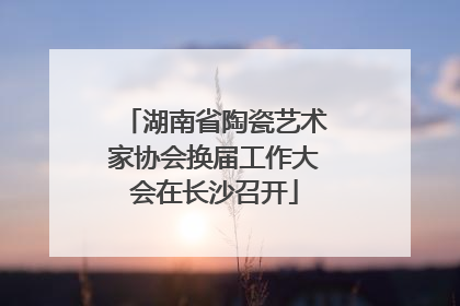 湖南省陶瓷艺术家协会换届工作大会在长沙召开