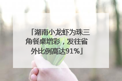 湖南小龙虾为珠三角餐桌增彩，发往省外比例高达91%