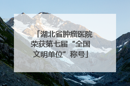 湖北省肿瘤医院荣获第七届“全国文明单位”称号